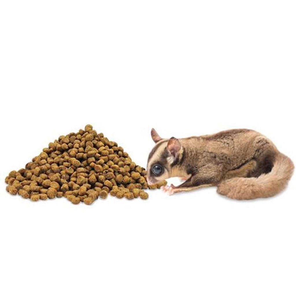 Sugar Glider Food M20613