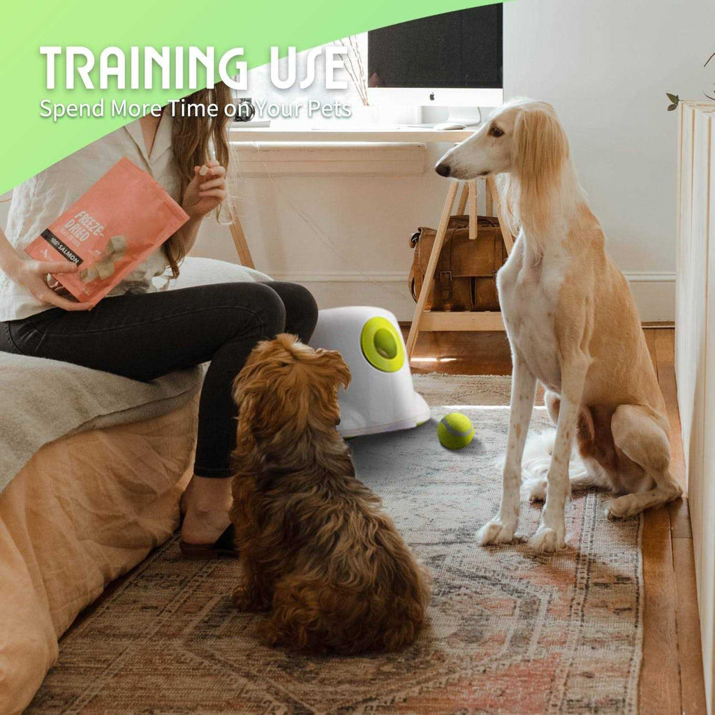 Automatic Ball Launcher for Dogs with 3 Tennis Balls P762551