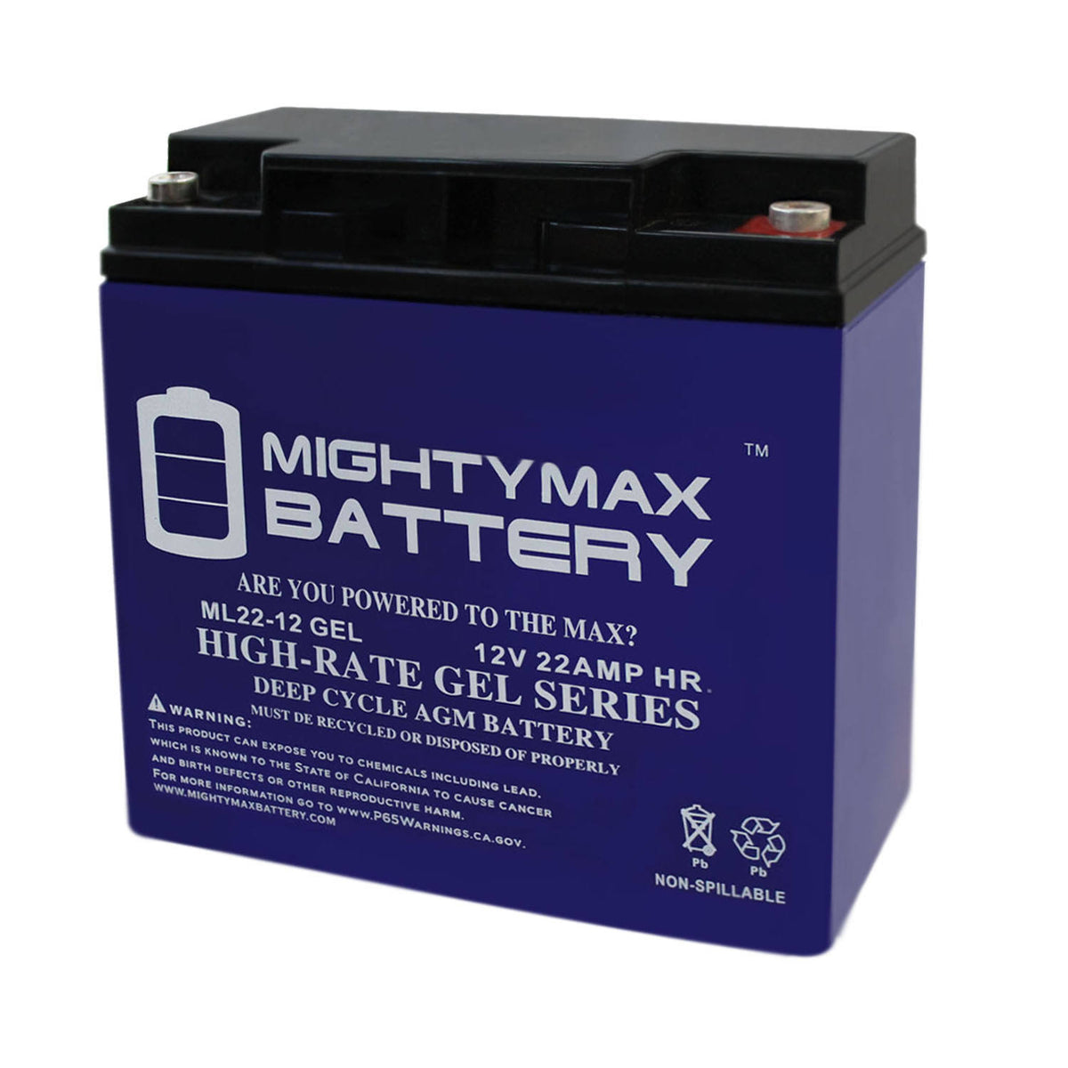 12V 22Ah Gel Battery O825186