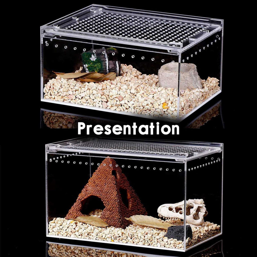 Reptile Terrarium Amphibian Tank Starter Kit Q1180