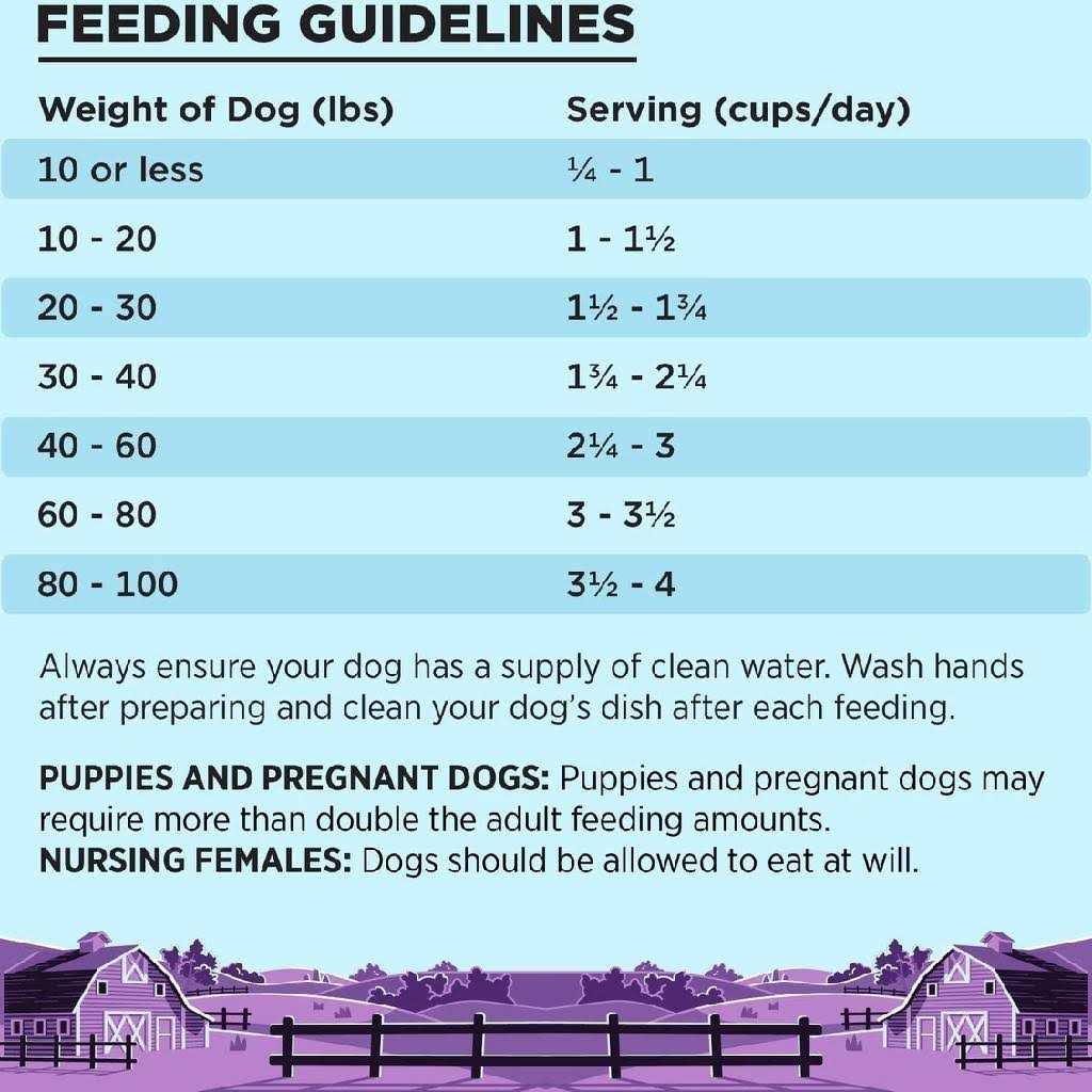 Dog Food Z82917