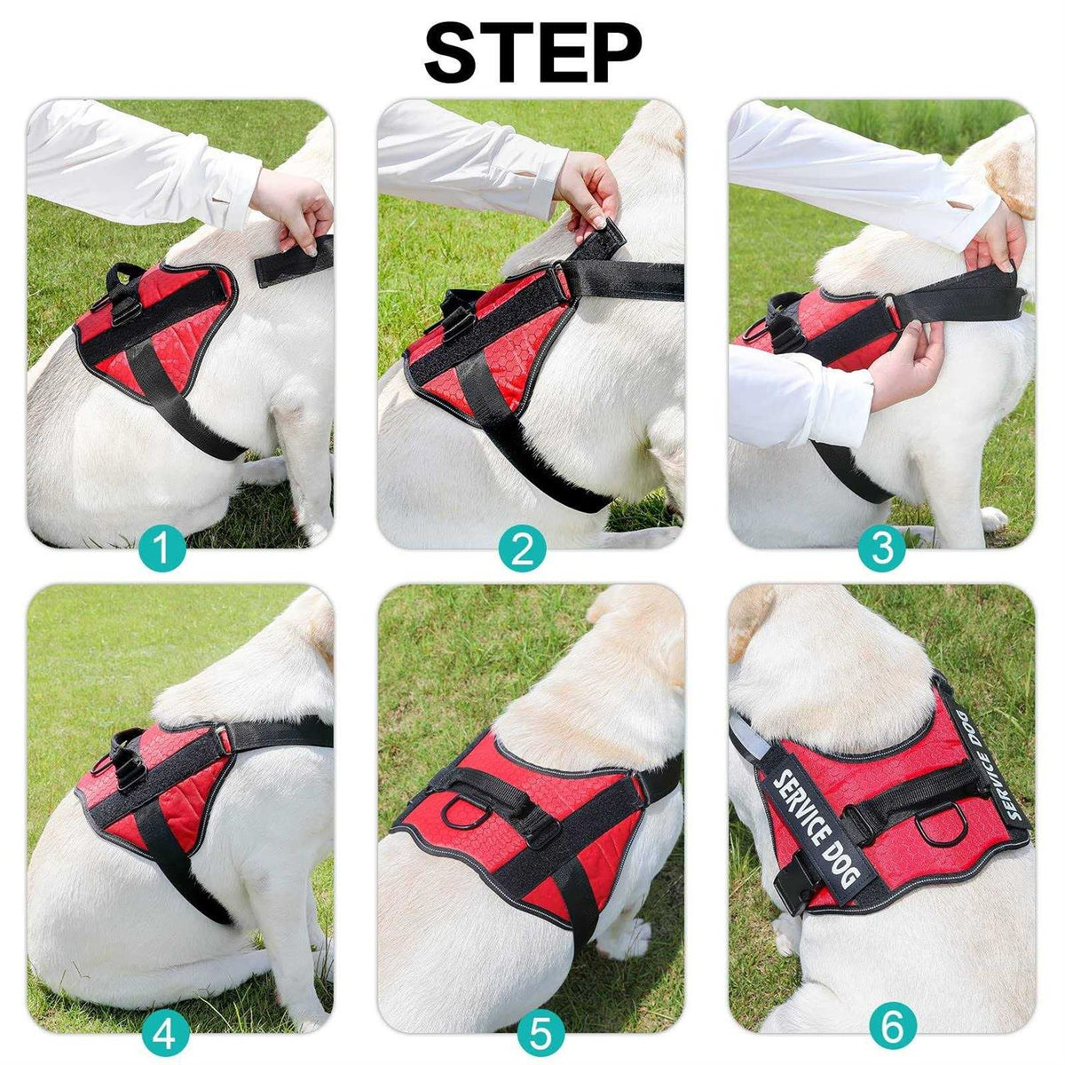Service Dog Harness F577508