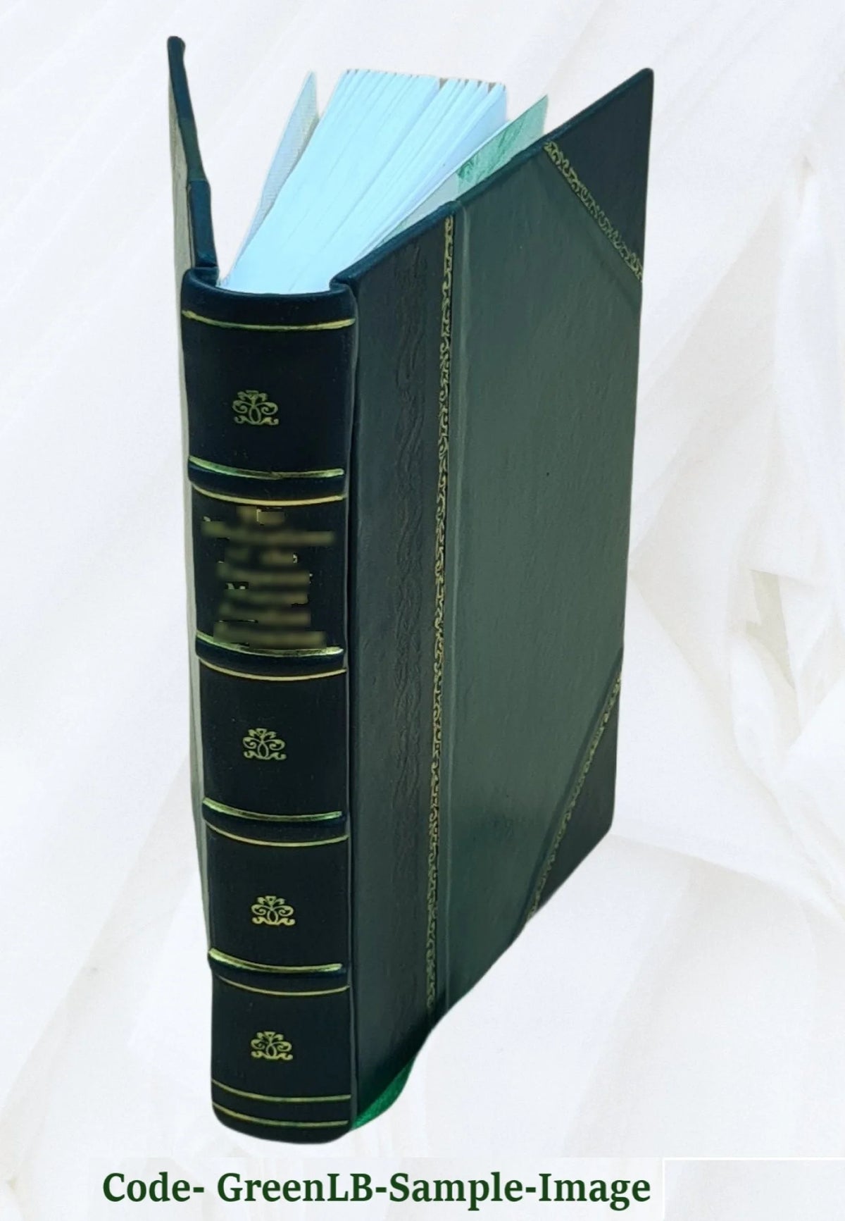 Leather Bound Book F979