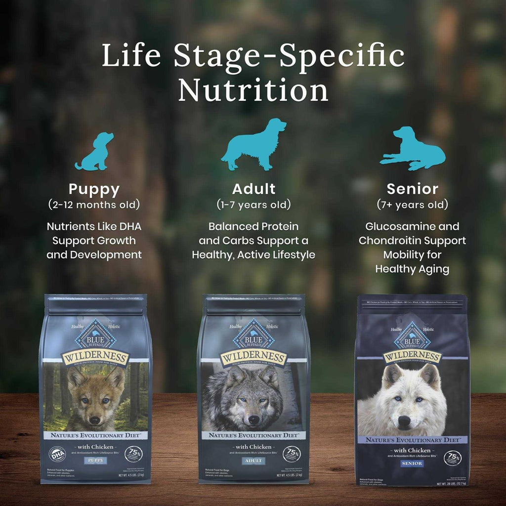 Chicken Senior Dry Dog Food U195141