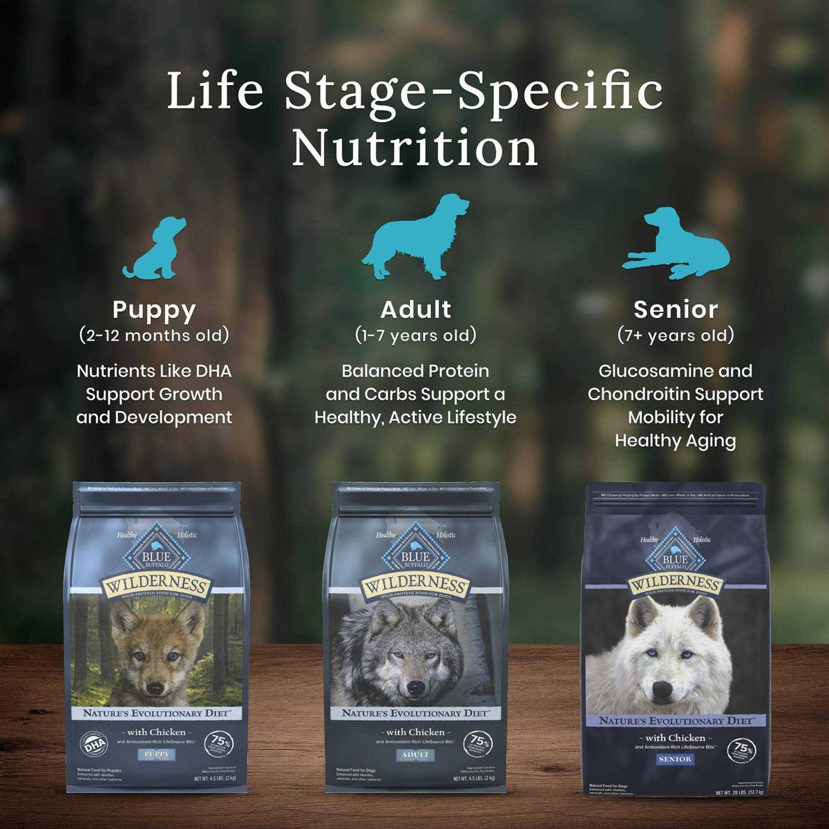 Chicken Senior Dry Dog Food U195141