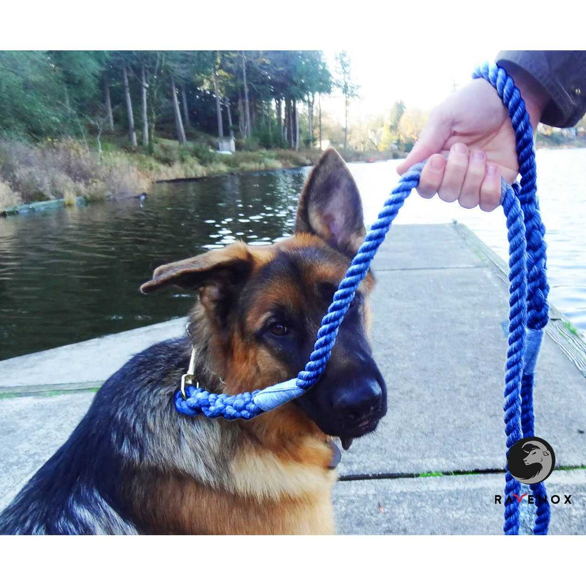 Cotton Rope Leash N324