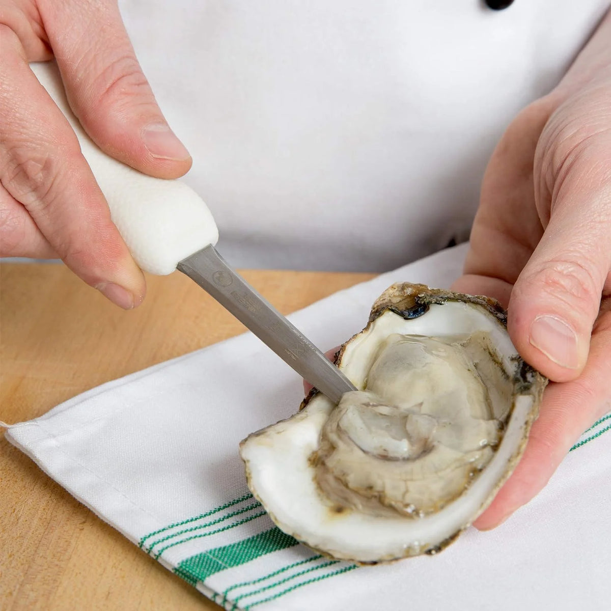 White Oyster Knife X31264