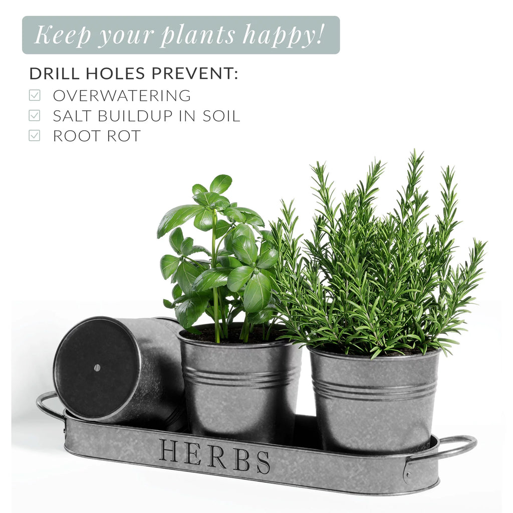 Galvanized Herb Garden Planter Set with Tray Set of 3 K951