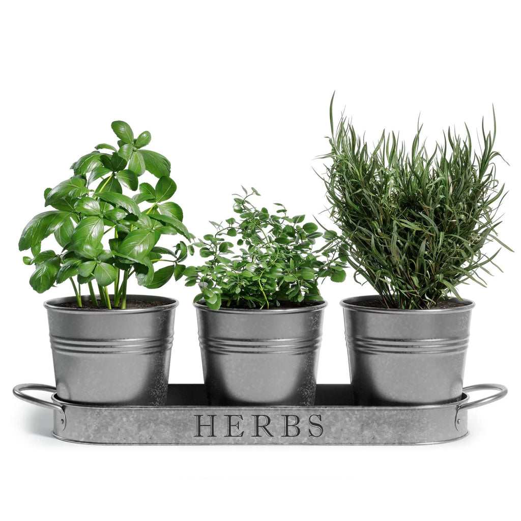 Galvanized Herb Garden Planter Set with Tray Set of 3 K951