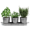Galvanized Herb Garden Planter Set with Tray Set of 3 K951