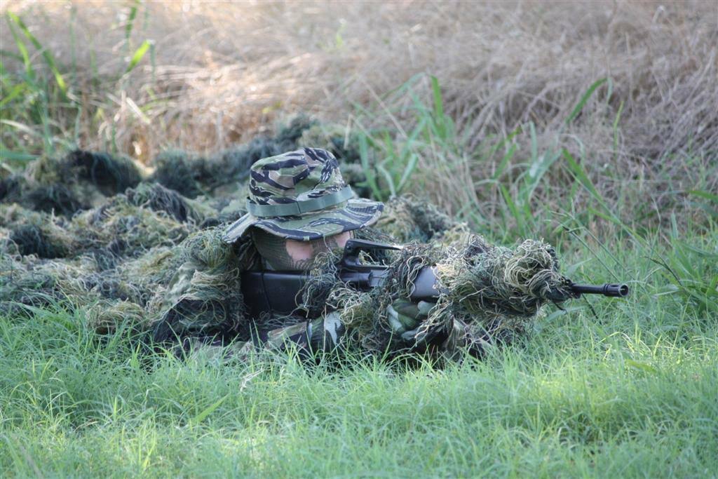 Woodland Camouflage Netting E578236