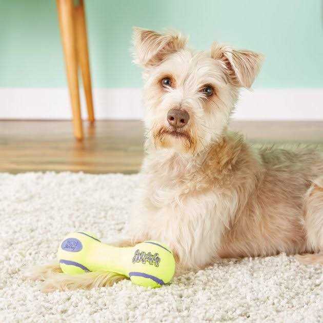 Squeaker Dumbbell Pet Supplies X539028