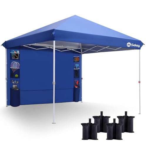 10x10 Pop Up Canopy with Weight Bags R6264