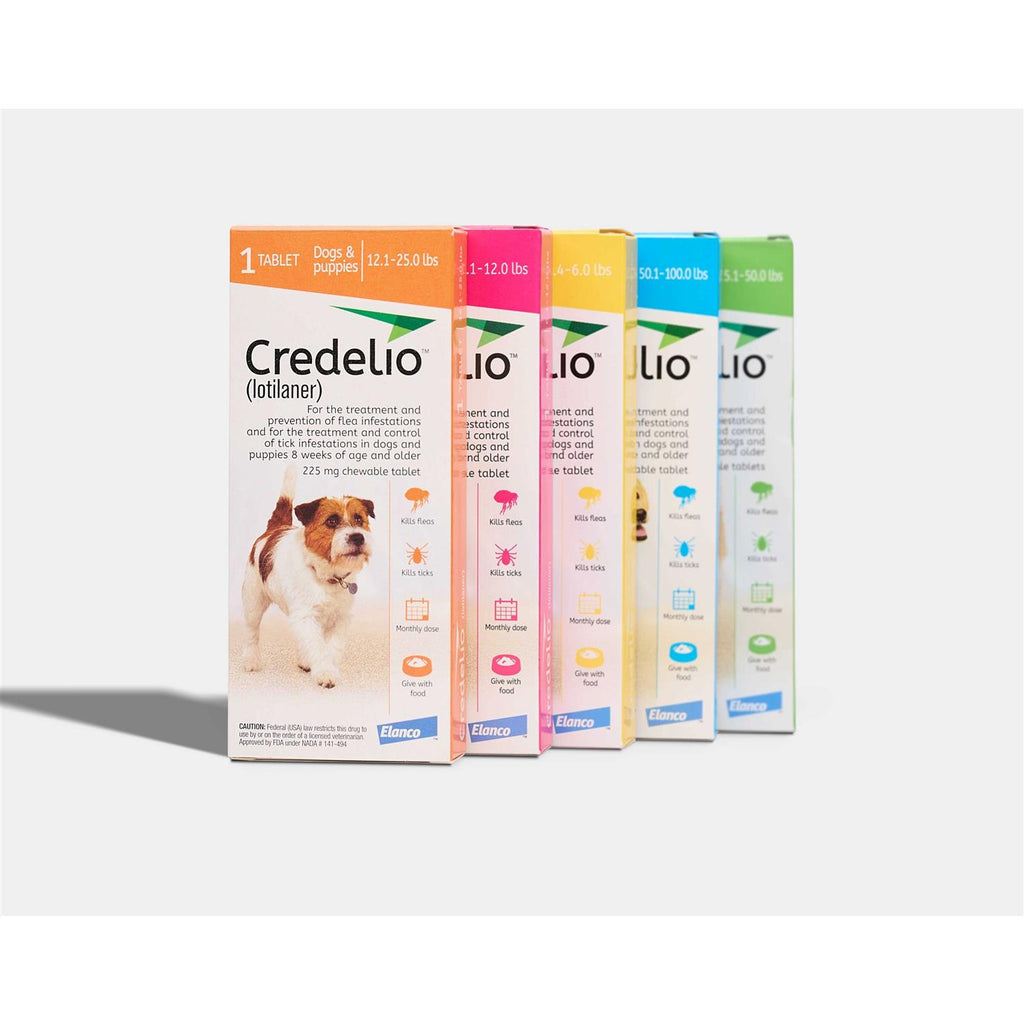 Chewable Tablet for Dogs T569