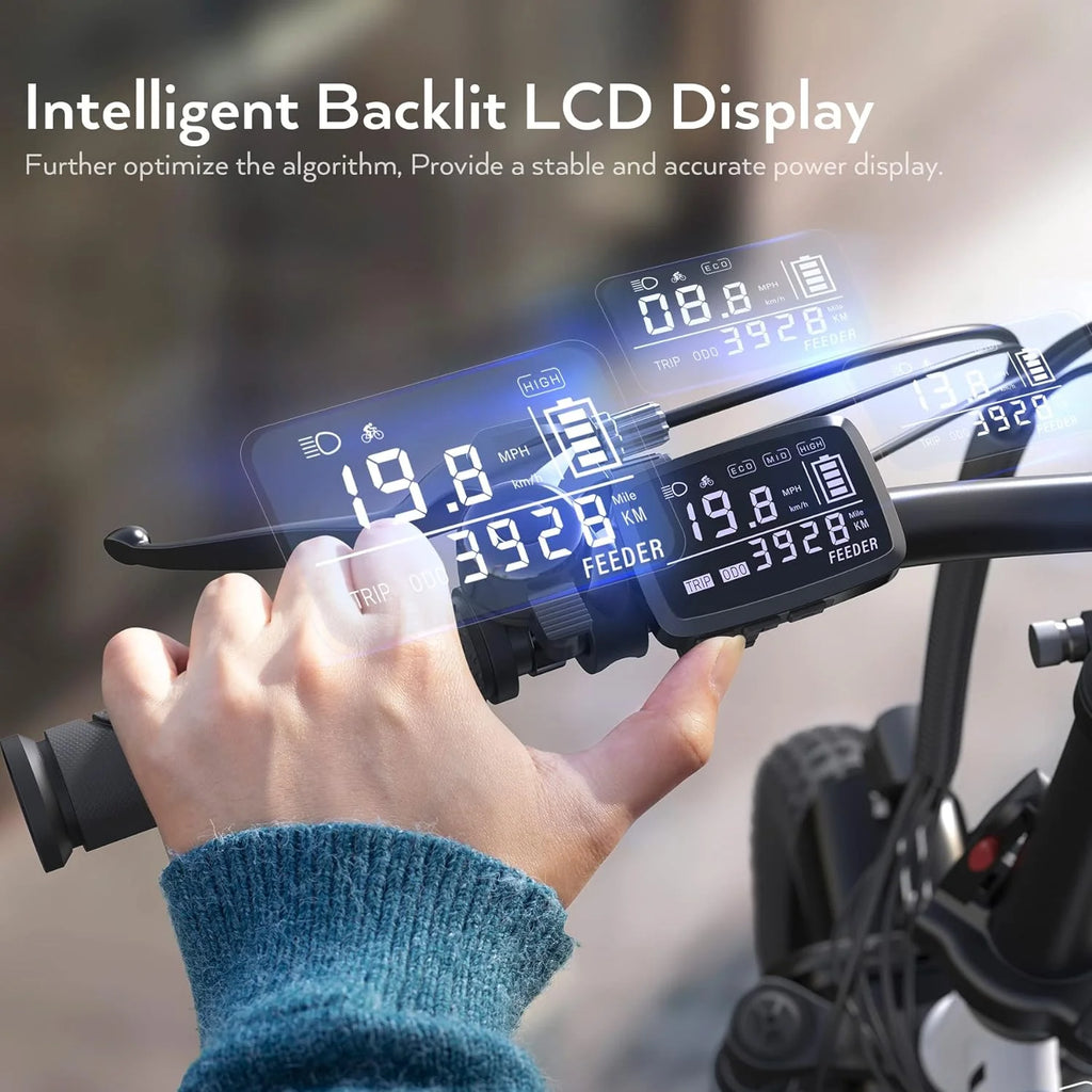 Folding Electric Bike 350W Fat Tire J729308