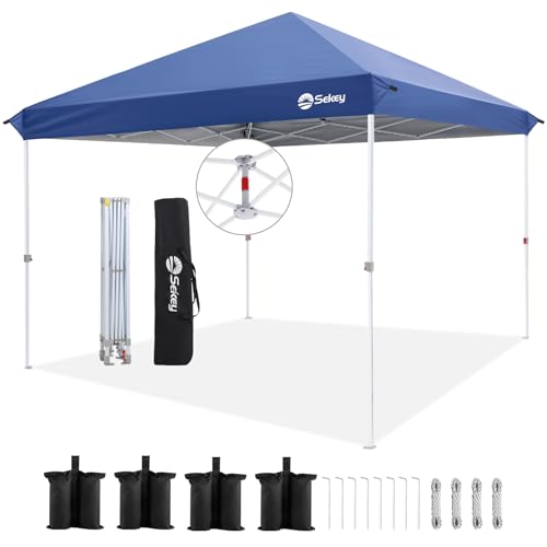 10x10 Pop Up Canopy with Weight Bags R6264