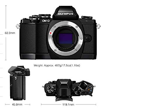 Black Mirrorless Camera Body I19599