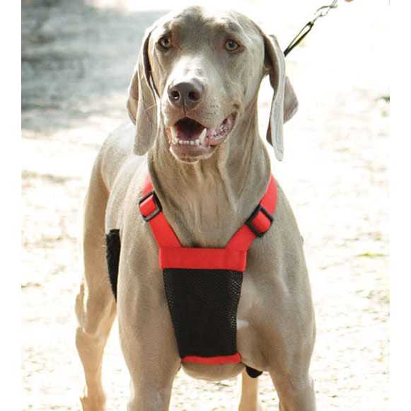 Mesh Non Pull Dog Harness A8890