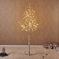 Lighted White Birch Tree 6ft Z564058