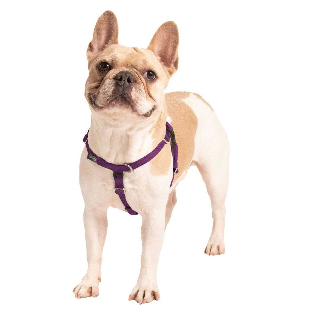 No Pull Dog Harness Leash T49356