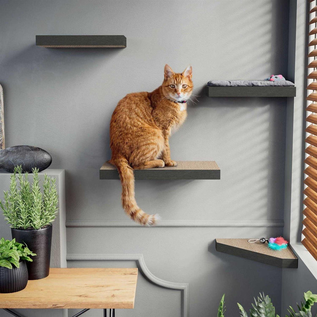 Cat Scratcher Floating Shelf Combo B522