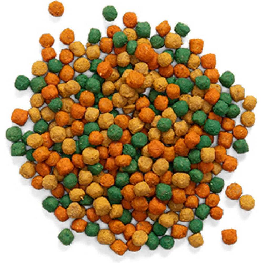 Medium Birds Bird Food W9534