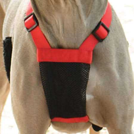 Mesh Non Pull Dog Harness A8890