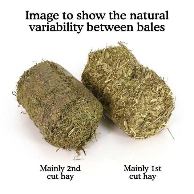 Natural Meadow Hay Bales S5931
