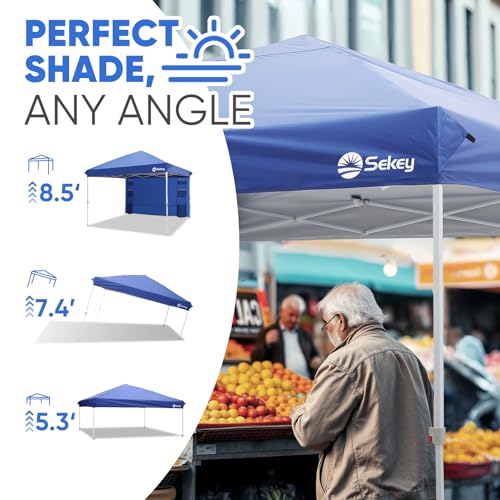 10x10 Pop Up Canopy with Weight Bags R6264