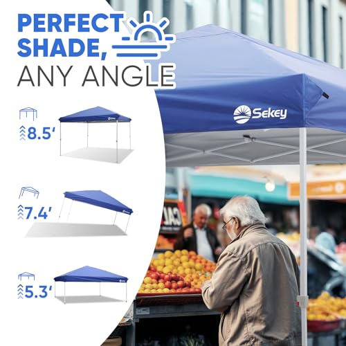10x10 Pop Up Canopy with Weight Bags R6264