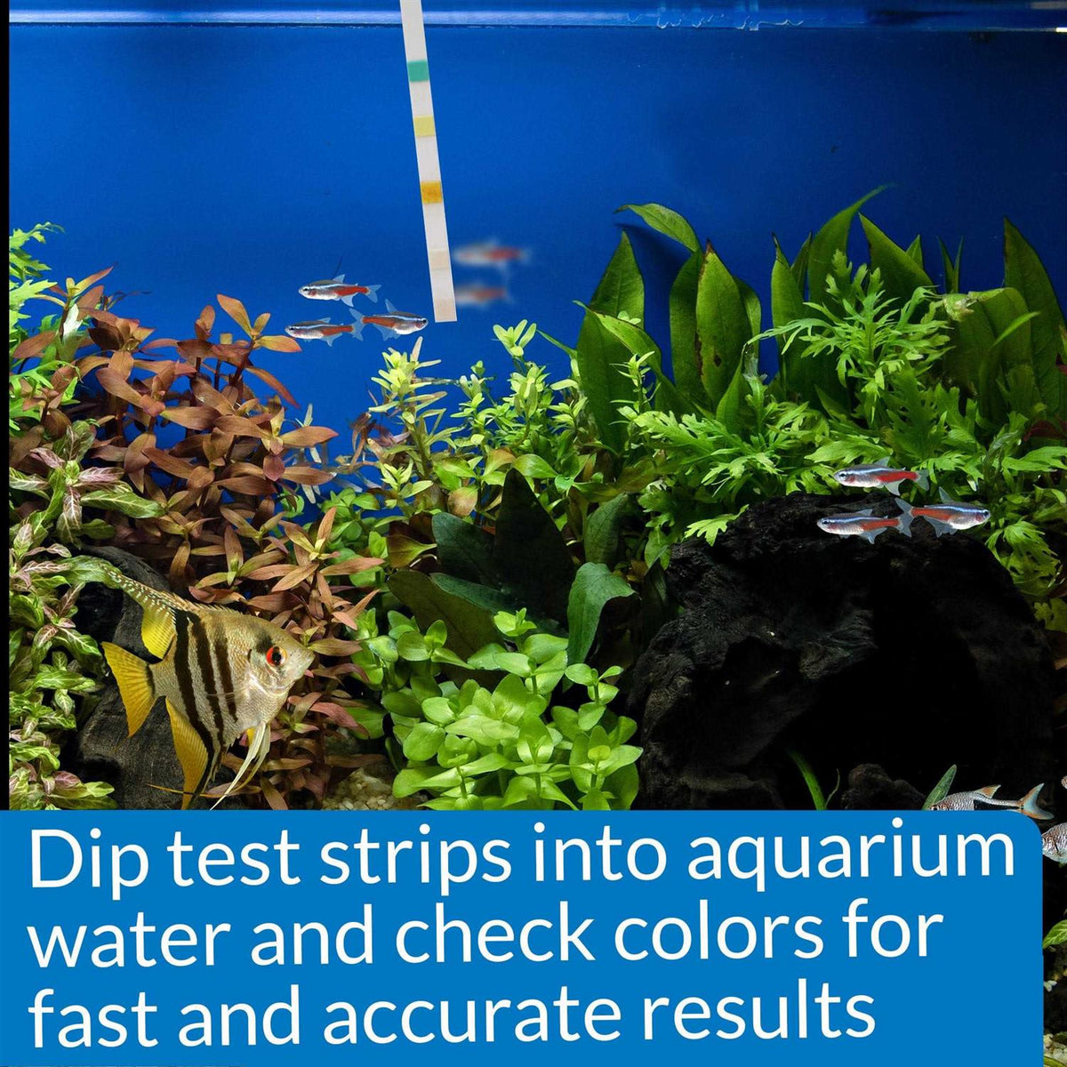 5 in 1 Aquarium Test Strips K569908