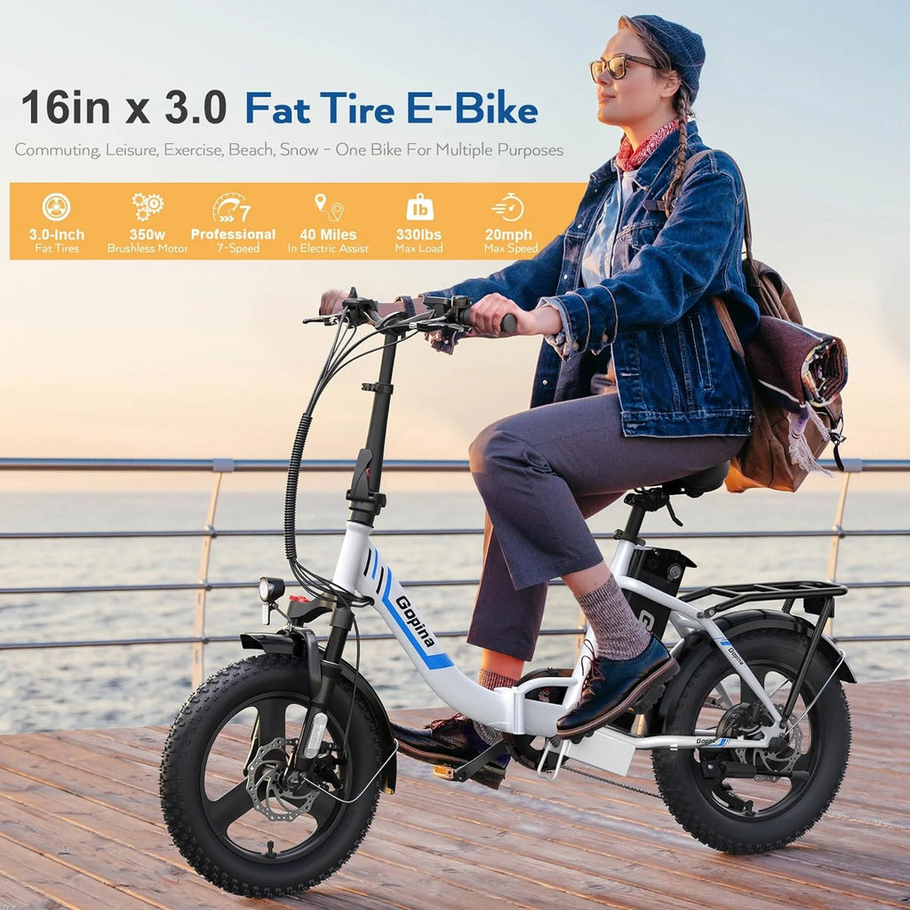 Folding Electric Bike 350W Fat Tire J729308