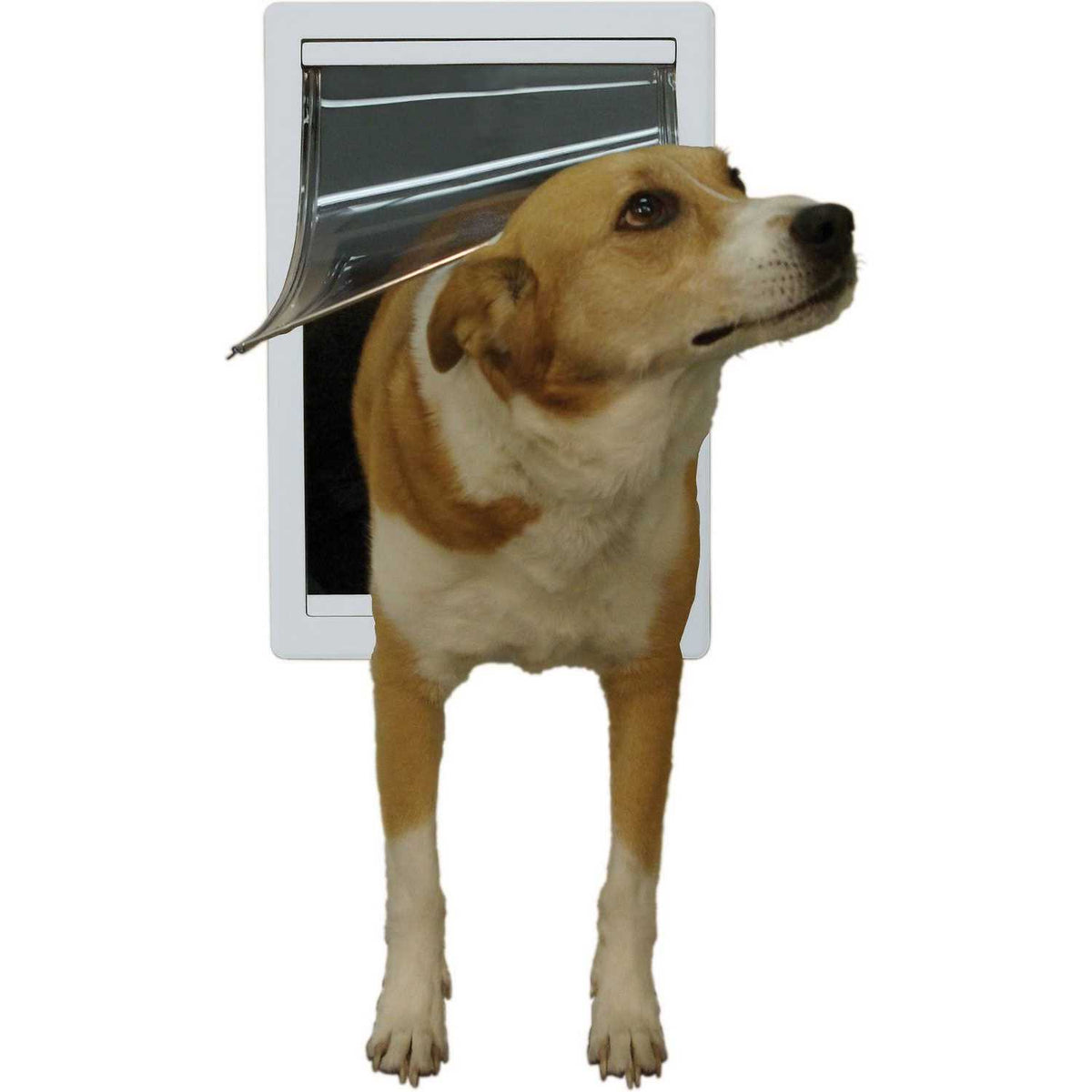 Plastic Pet Door X8692