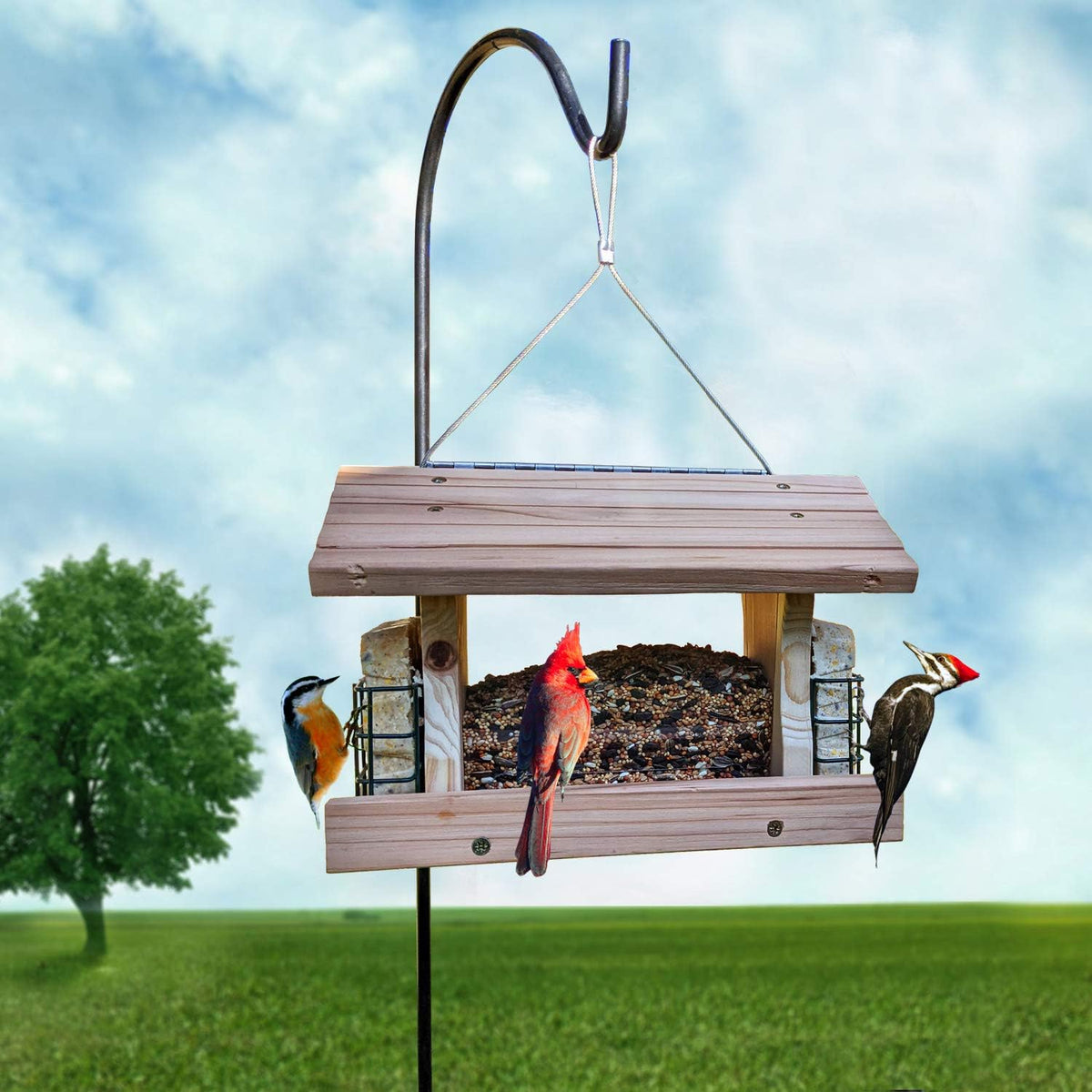 Gray Bunny Deluxe Hopper Feeder with 2 Suet Cages, Solid Wood Large Wild Bird Feeder, Hanging Birdfeeder, Pack of 2 S604