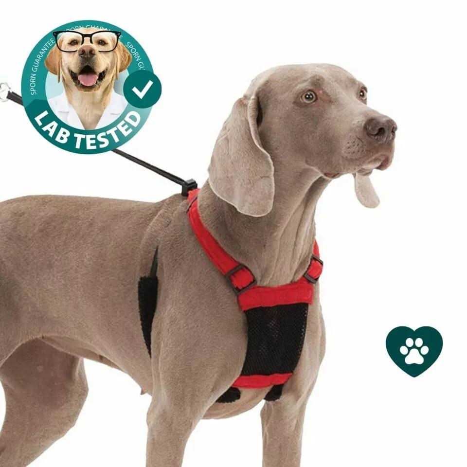 Mesh Non Pull Dog Harness A8890