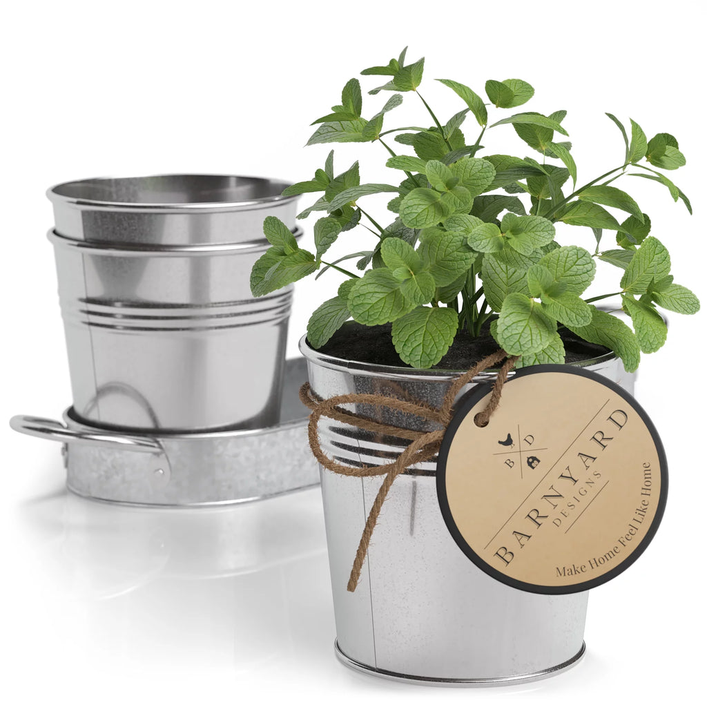 Galvanized Herb Garden Planter Set with Tray Set of 3 K951