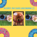 Dog Donut Collar W893