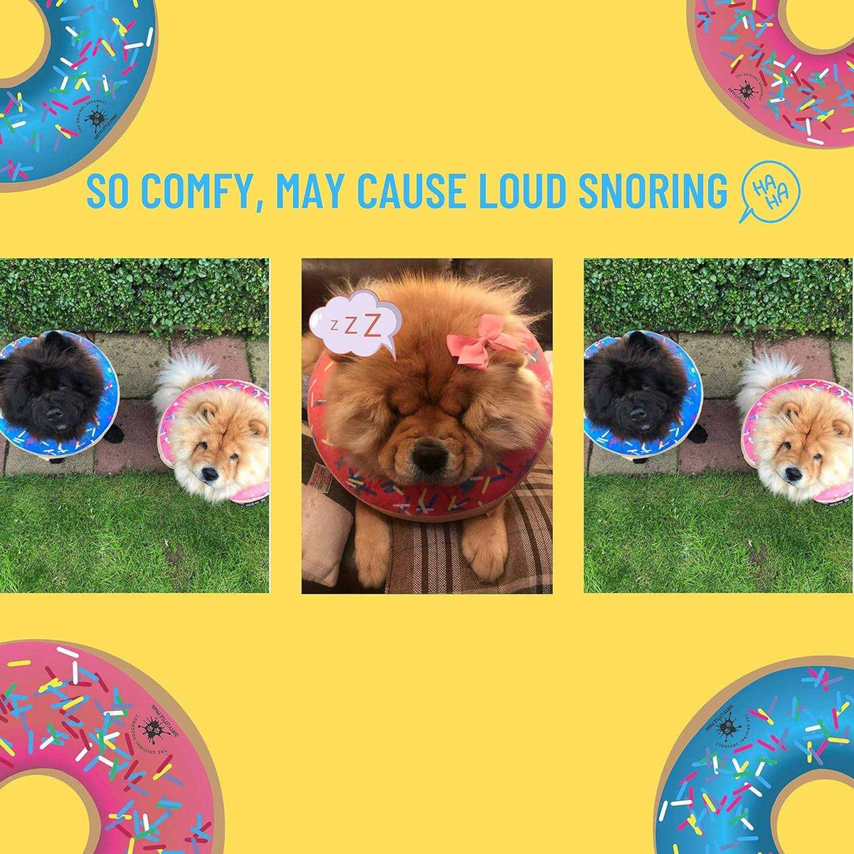 Dog Donut Collar W893