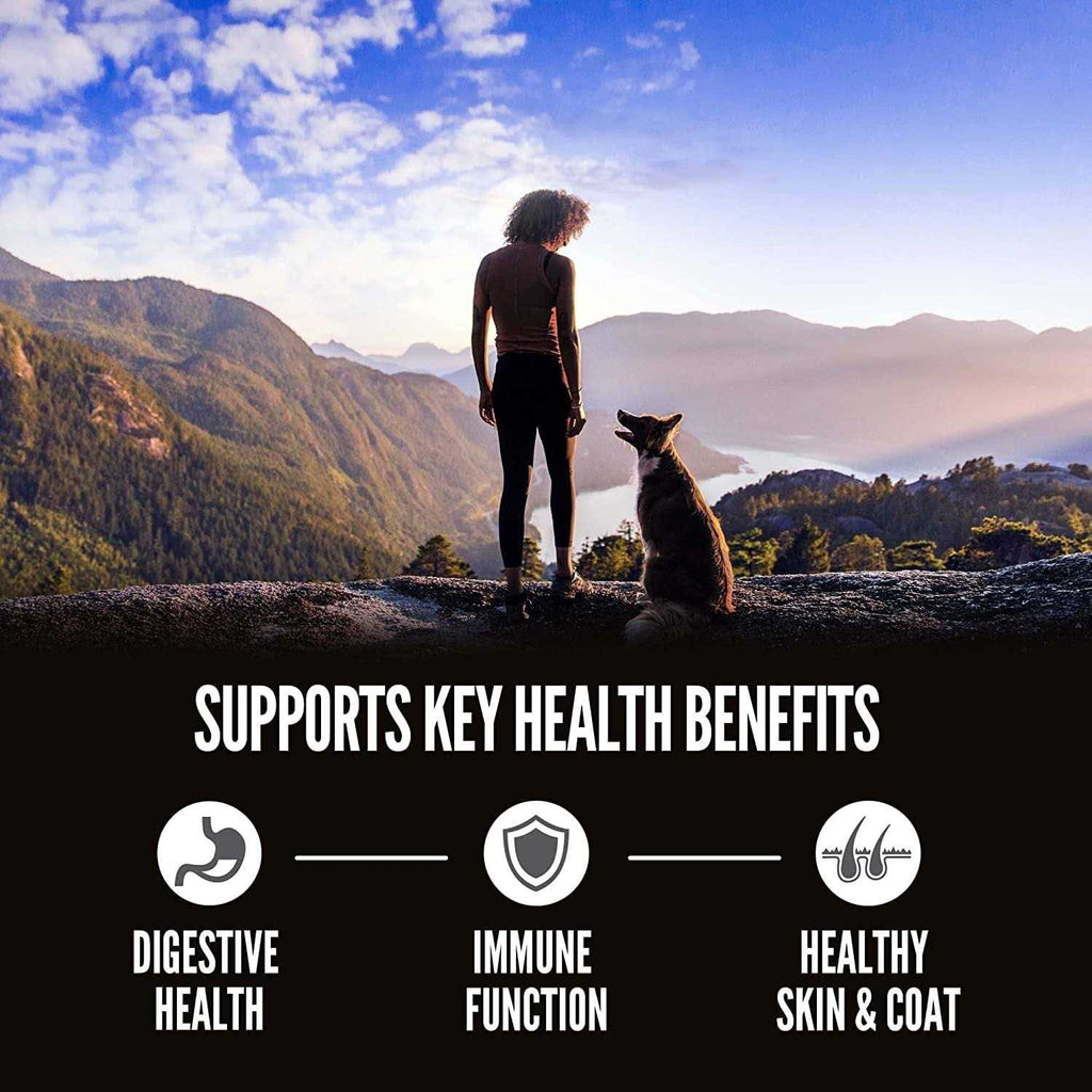 Dry Dog Food H415