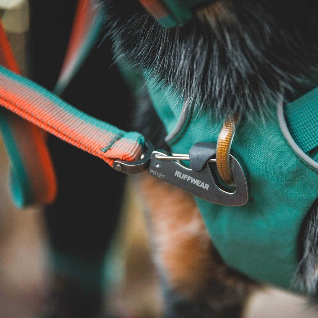 Leash E54173