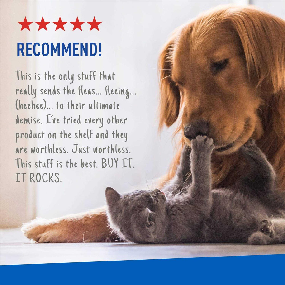 Flea Tick Spray L630475