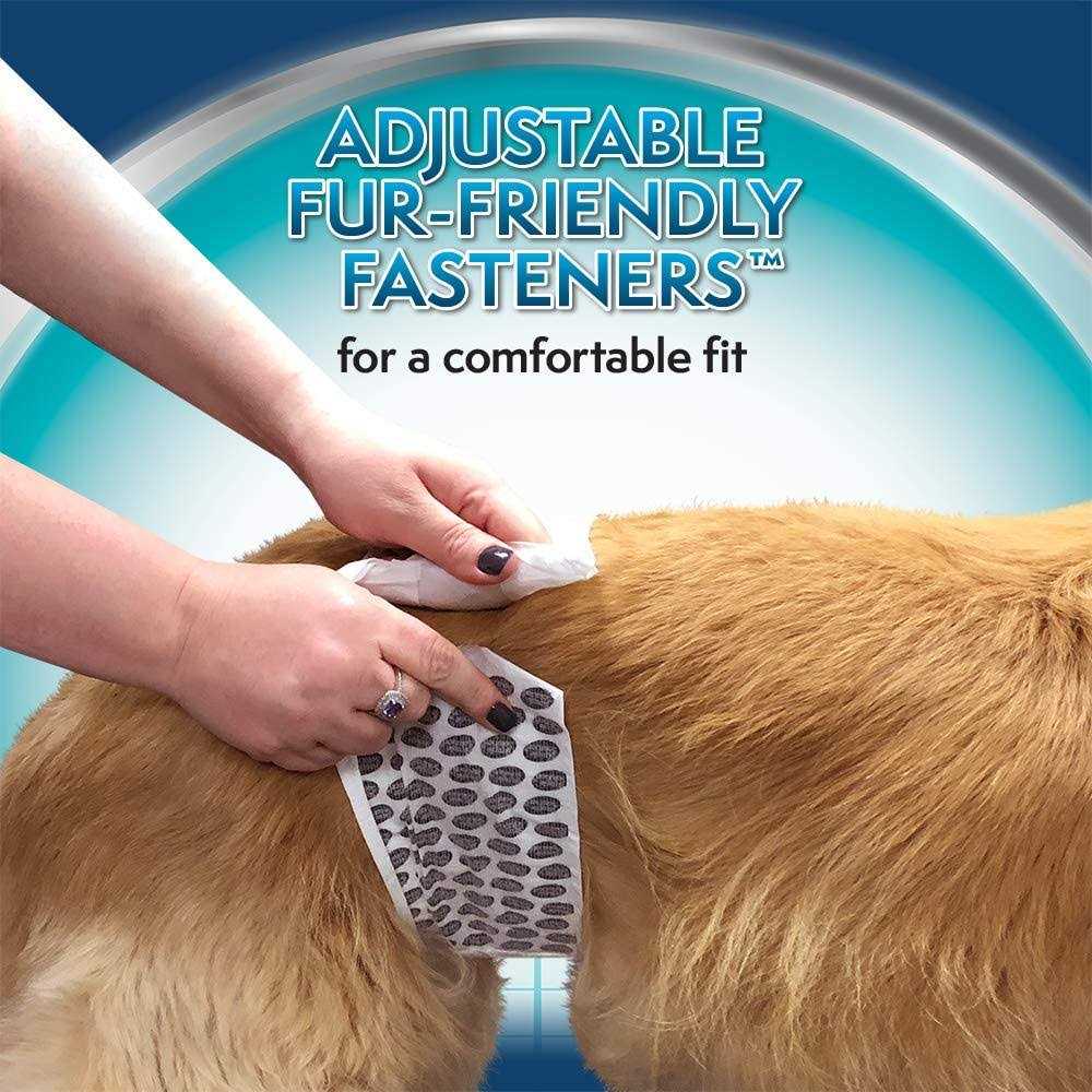 Disposable Male Wraps I751