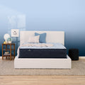 13.5" Medium Innerspring Mattress - Twin XL Y8618