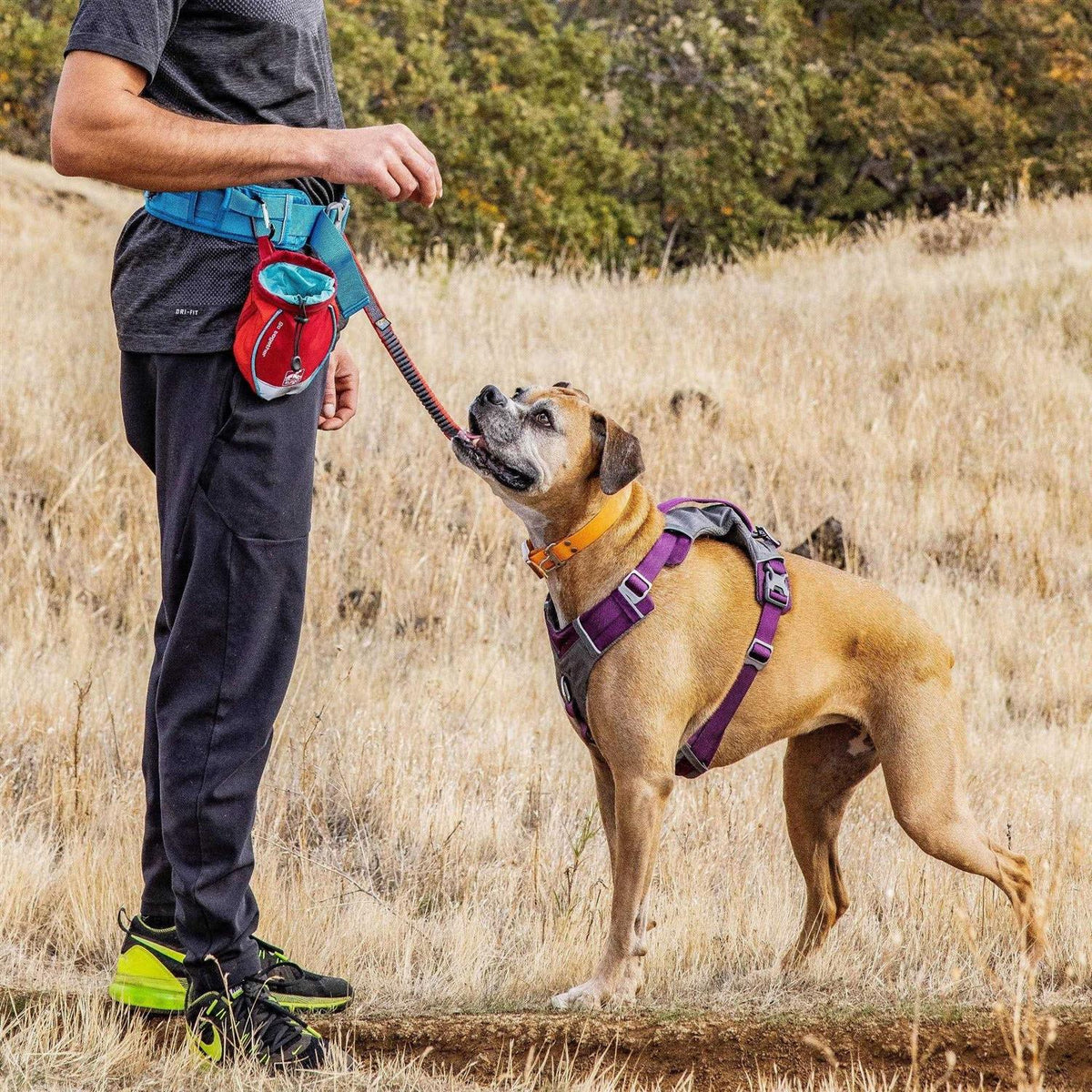 Dog Treat Bag N224771