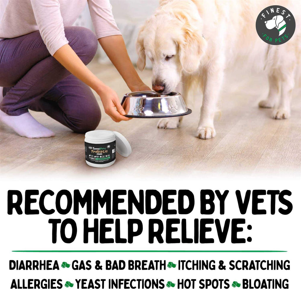 Probiotic Powder for Dogs & Cats B8696