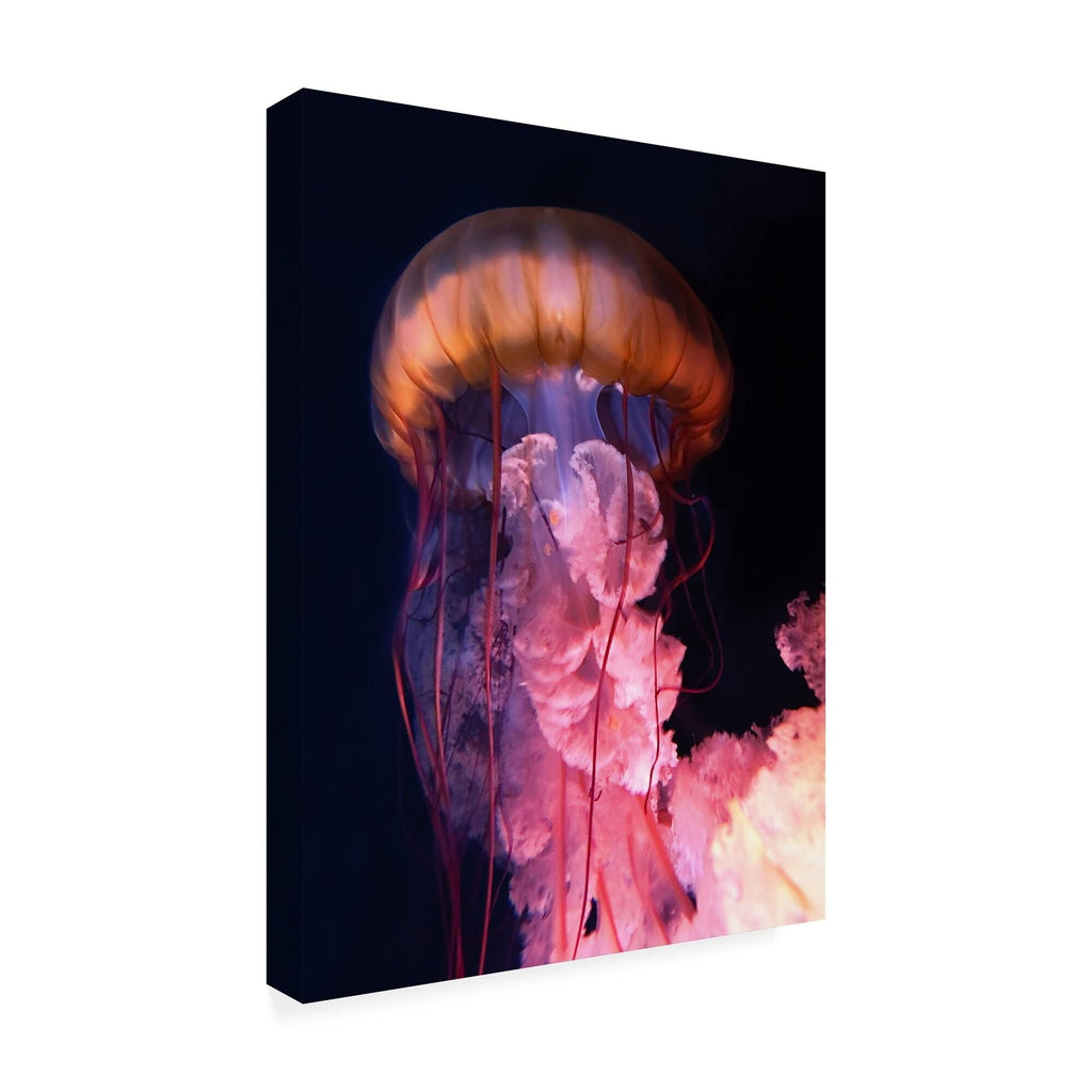 Canvas Art I85574
