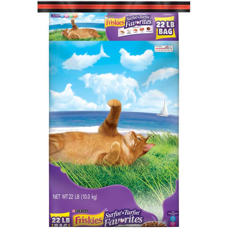 Dry Cat Food M14741