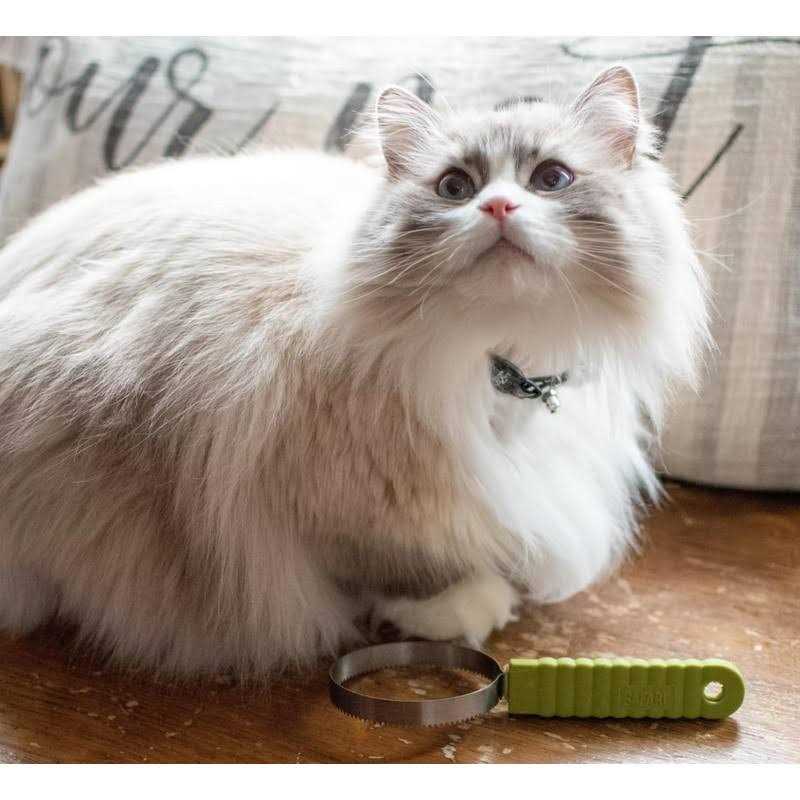 Cat Shedding Blade F90286
