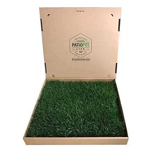 Real Grass Potty B736