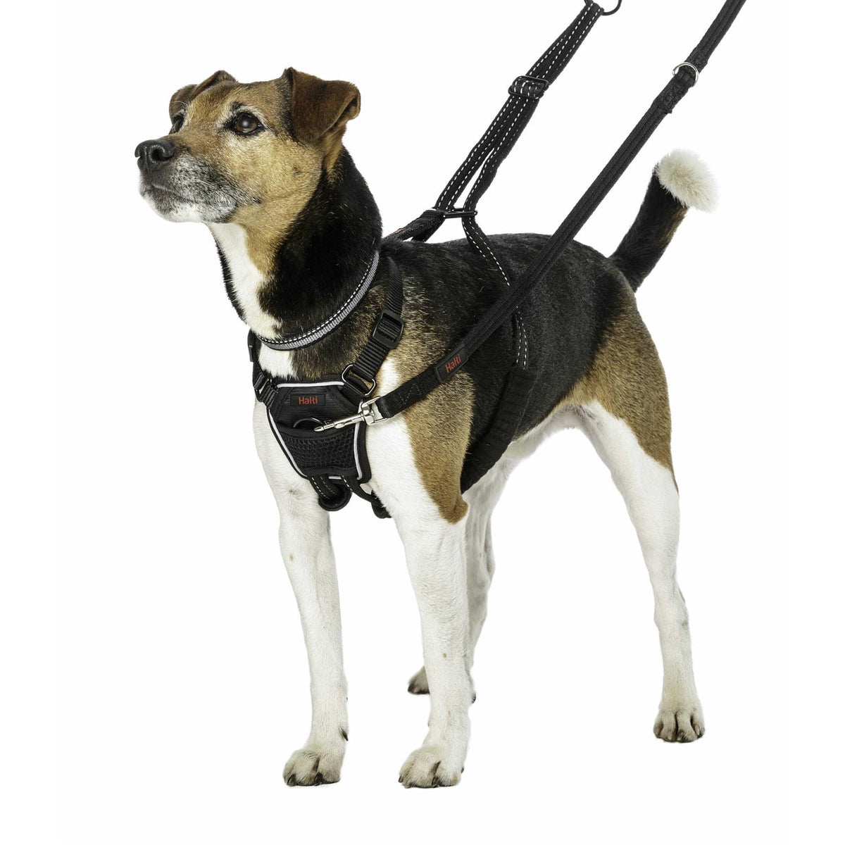 No Pull Dog Harness A83629